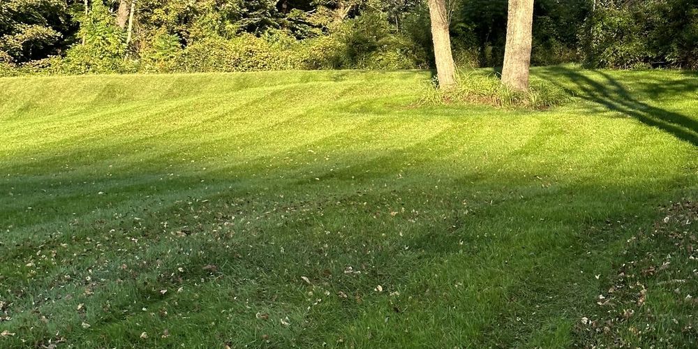 A freshly mowed, striped lawn